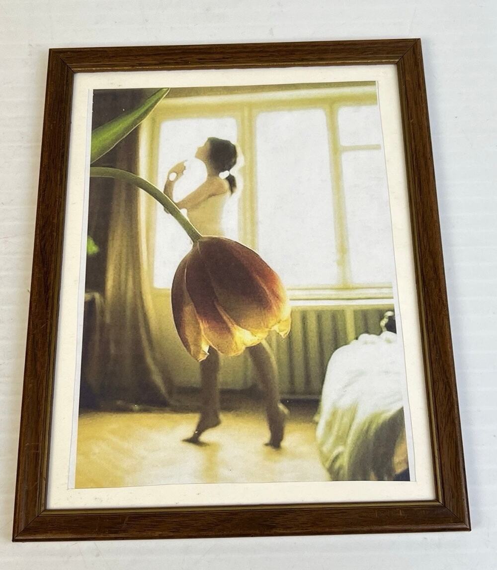 Ballerina Dancer Tulip Art Photograph Print 10" x 12" Framed Wall Hanging